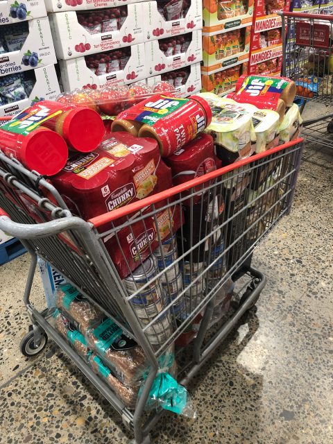 shopping cart full of canned items for linguava grocery assistance program